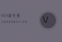 VCA,从技术创新到商业应用的全面解析