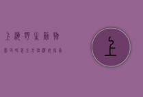 上海野生动物园攻略表，全方位游玩指南