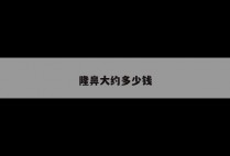 隆鼻大约多少钱