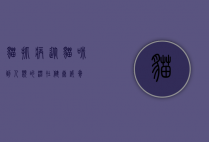猫抓病，从猫咪到人类的潜在健康威胁