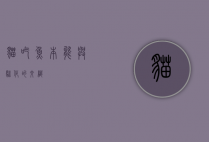 猫吃鱼，本能与驯化的交织