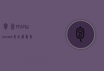 包含minutemask是什么意思的词条