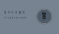 揽季，四季流转中的生活美学与心灵沉淀