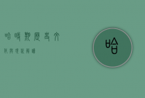 哈时期，历史、文化与现代解读