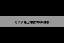 苏泊尔电压力锅如何炖排骨