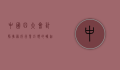 中国四大会计师事务所，行业巨头的崛起与未来展望