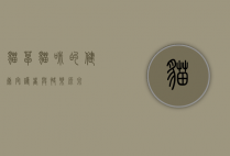 猫草，猫咪的健康守护者与快乐源泉
