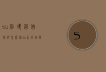 su创建曲面插件怎么用（su生成曲面插件）