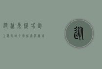 从浦东机场到上海南站，全面指南与实用建议