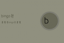 bingo什么意思（bingo什么意思中文翻译）