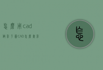 怎么用cad做彩平图（CAD怎么画彩平图）
