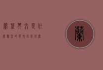 兰芝英文是什么（兰芝的英文名是什么）