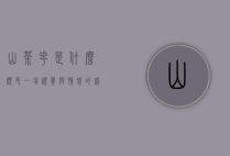 山茶花是什么颜色，一场视觉与情感的盛宴