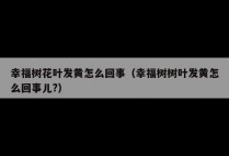 幸福树花叶发黄怎么回事（幸福树树叶发黄怎么回事儿?）