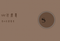 skr什么意思（sk什么意思）