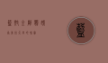 蓝翅金刚鹦鹉,南美洲天空的瑰宝