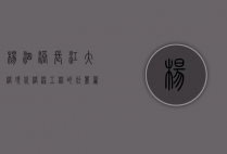 杨泗港长江大桥，现代桥梁工程的壮丽篇章