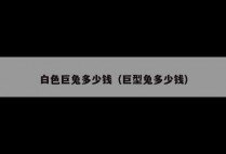 白色巨兔多少钱（巨型兔多少钱）