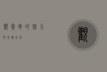 观赏龟的魅力与养护指南