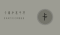 卡尔加里牛仔节，西部文化的狂欢盛宴