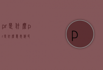 pr是什么（pr是什么意思移民）
