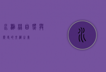 水杉林，自然与历史的交织之美
