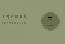 王晖石棺，汉代艺术的瑰宝与历史之谜