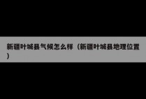 新疆叶城县气候怎么样（新疆叶城县地理位置）
