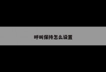 呼叫保持怎么设置