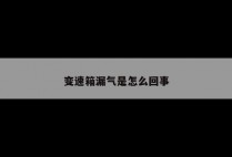 变速箱漏气是怎么回事