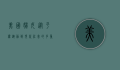 美国妇女，从平权运动到现代社会的多重角色
