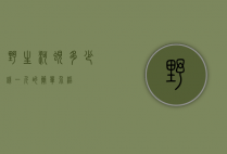 野生河蚬多少钱一斤的简单介绍