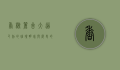 香榭丽舍大道，巴黎的璀璨明珠与历史的见证