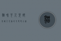 猫咪可人儿，那些让人心动的毛茸茸小精灵