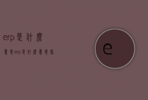 erp是什么意思（erp是什么意思医学）