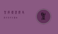 圣彼得堡，历史与文化的交响曲