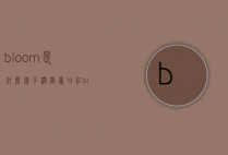 bloom是什么牌子润唇膏（口红bloom是什么意思中文）