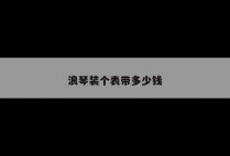 浪琴装个表带多少钱