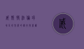 威斯特法伦球场，足球圣殿的传奇与荣耀