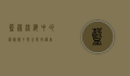 蓝鲨，深海中的神秘猎手与生态守护者