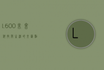 L600，未来科技与生活的交汇点