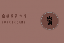 泰迪熊与抱抱熊，温暖心灵的毛绒伙伴