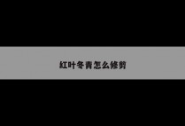 红叶冬青怎么修剪