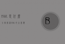 BWL是什么？全面解析BWL的含义、应用与未来发展