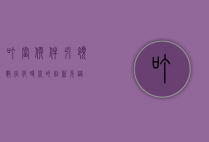 叮当软件，引领数字化时代的创新先锋