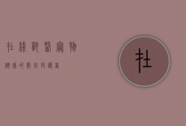 在线兽医，宠物健康的数字守护者