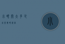小眼开大多少钱（开双眼价格）