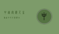 中途客栈，人生旅途中的心灵驿站