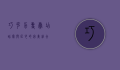 巧克力专卖店，甜蜜与匠心的完美结合