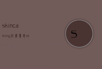 skincalming什么意思（skin是什么意思译）